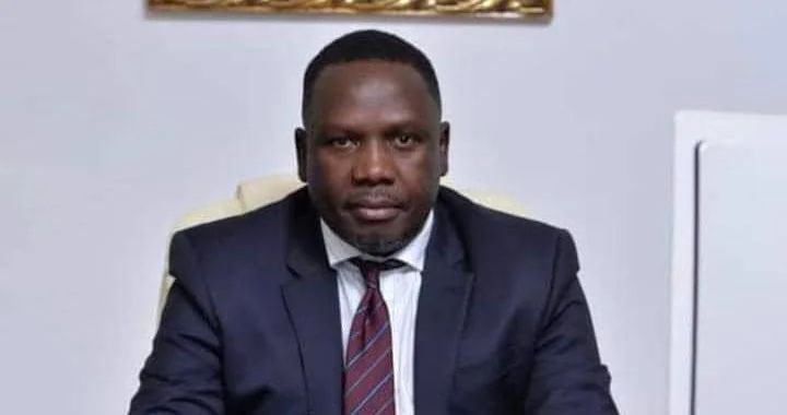 Daniel Bwala has denied ever referring to Bola Ahmed Tinubu as a drug lord